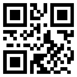 QrCode di 3203028499
