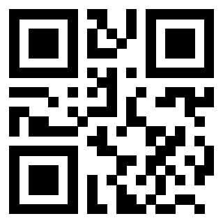 3203028633 - Immagine del QrCode