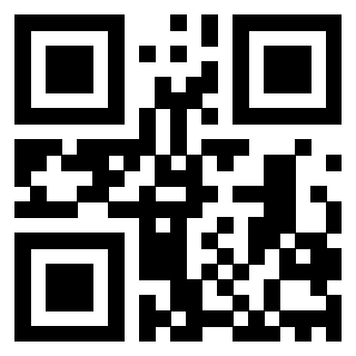 Il Qr Code di 3203028924