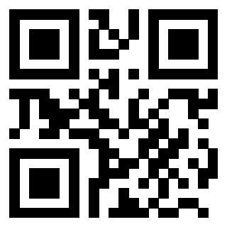 QrCode di 3203029019