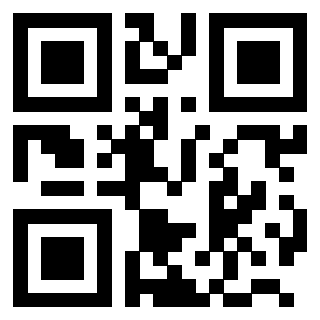 QrCode di 3203029037
