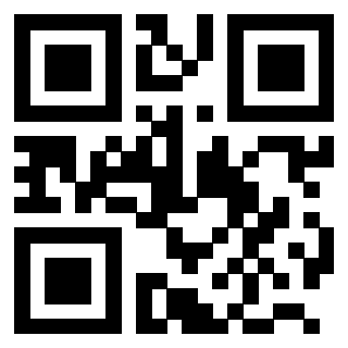 3203029100 QrCode associato