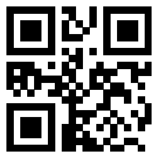 QrCode di 3203032274