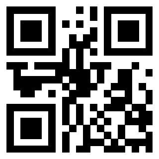 Il Qr Code di 3203082958