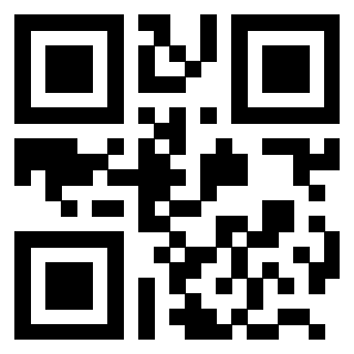 Il Qr Code di 3203086599
