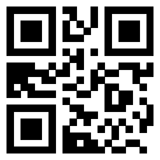 3203087256 QrCode associato