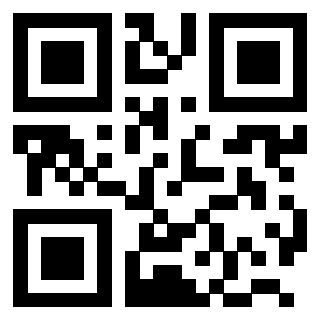 QrCode di 3203097661