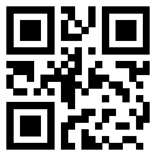 3203136313 - Immagine del QrCode