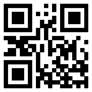 QrCode di 3203137117