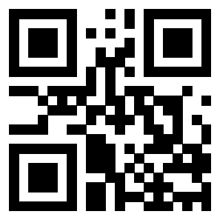 Il Qr Code di 3203185608