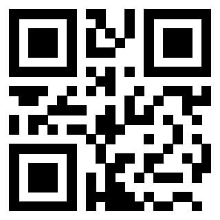 QrCode di 3203304043