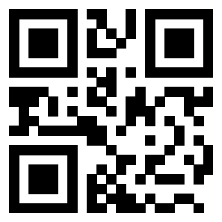 3203304113 QrCode associato