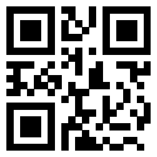 3203304487 - Immagine del QrCode