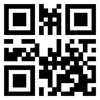 3203311133 - Immagine del QrCode