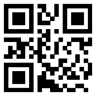 Il Qr Code di 3203407029