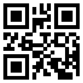 Il Qr Code di 3203446529