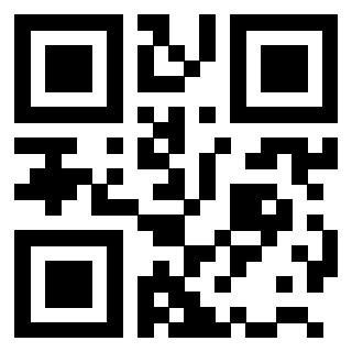 3203514691 QrCode associato