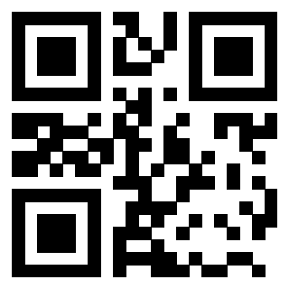 Il Qr Code di 3203692948