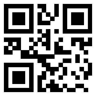 Il Qr Code di 3203692971
