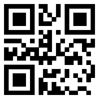 QrCode di 3203693013