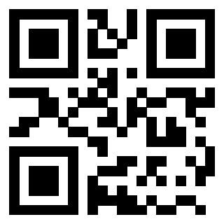 QrCode di 3203748253