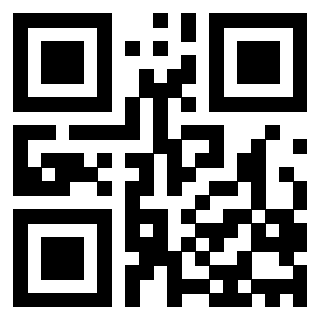 Il Qr Code di 3203825595