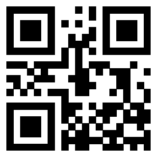 Il Qr Code di 3203825659