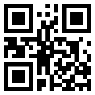 3203825667 QrCode associato