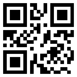 Il Qr Code di 3203825735