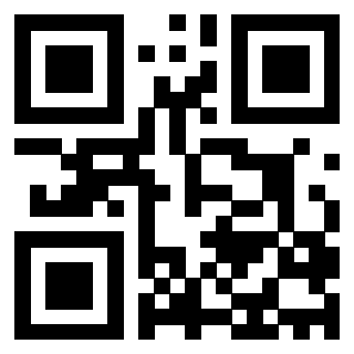 Il Qr Code di 3203825883