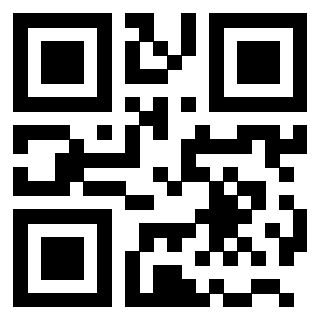 QrCode di 3203825895