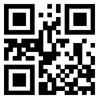 Il Qr Code di 3203825928