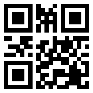 Il Qr Code di 3203895904