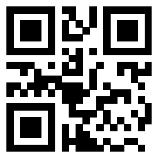 Il Qr Code di 3203895919