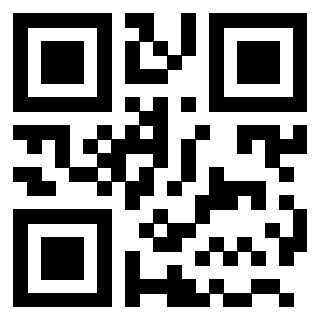 Il Qr Code di 3203895928