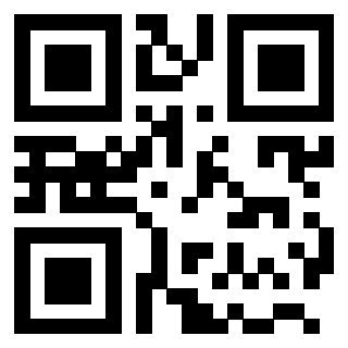 QrCode di 3203895993