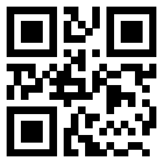 Il QrCode di 3203896256