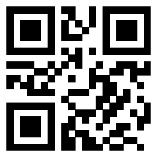 Il Qr Code di 3203929619