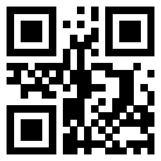 Il Qr Code di 3203929895