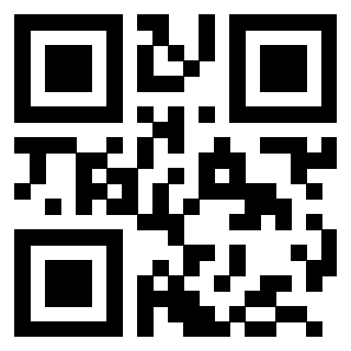 Il Qr Code di 3203994533