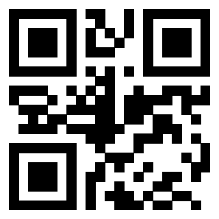 QrCode di 3203994808