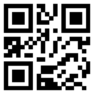 QrCode di 3203995024