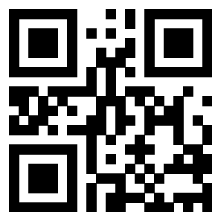 QrCode di 3203995062