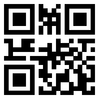 QrCode di 3203995079