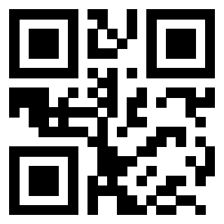 QrCode di 3203995134