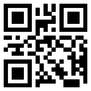 QrCode di 3203995304