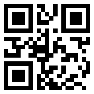 QrCode di 3203995373