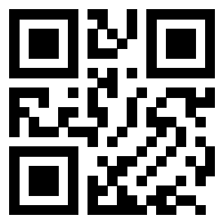 3204001060 - Immagine del QrCode associato