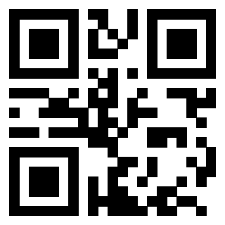 QrCode di 3204095343