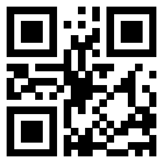 QrCode di 3204095394
